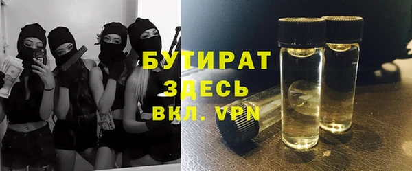 индика Алзамай