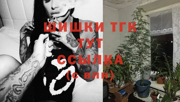 сатива Алексин