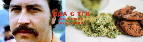 индика Алзамай