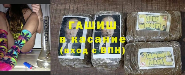 индика Алзамай