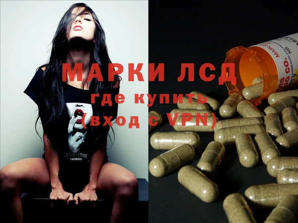 индика Алзамай